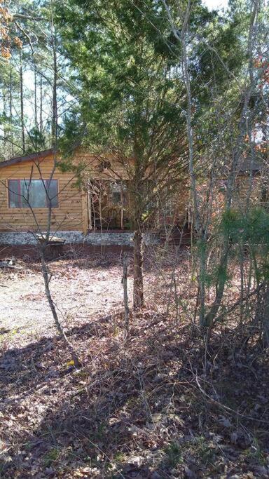 Rustic Quaint Cabin In The Woods--Pets Welcomed Dunnsville Exterior photo