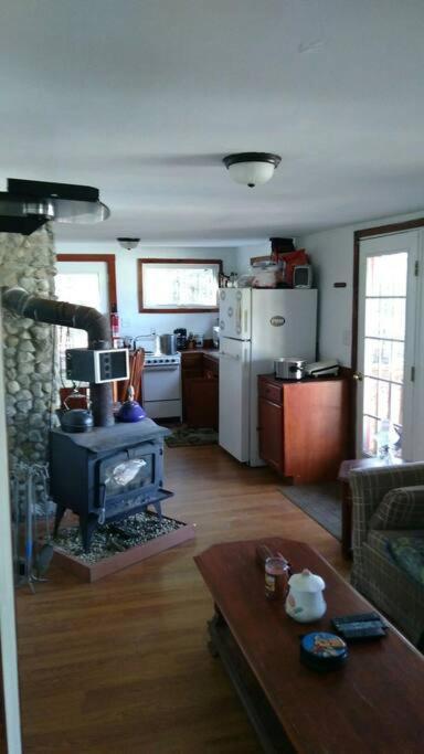 Rustic Quaint Cabin In The Woods--Pets Welcomed Dunnsville Exterior photo